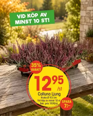 EKO (giltig till och med 14-09)