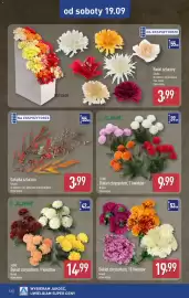 ALDI gazetka Strona 12: Gałązka sztuczna €3,99, Bukiet chryzantem €19,99