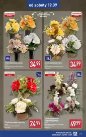 ALDI gazetka Strona 13: Stroik dekorowany, misa mini €24,99, Kompozycja kwiatów sztucznych premium €49,99
