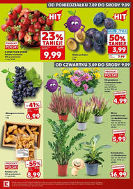 Kaufland gazetka Strona 2: Winogrona ciemne €6,99, Wrzos jednokolorowy lub dwukolorowy €5,99