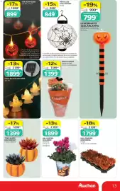 Auchan akciós újság hét 37 Oldal 13