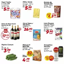 Tabloide Dia Página 2: De - pepino comum €3,99, Tixan - lava roupas liquido €9,90