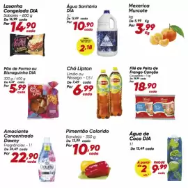 Tabloide Dia Página 3: Dia - lasanha congelada €14,90, Dia - água de coco €29,99