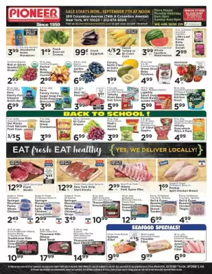 Pioneer (valid until 13-09)