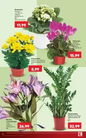 Catalog Kaufland săptămâna 37 Pagină 18