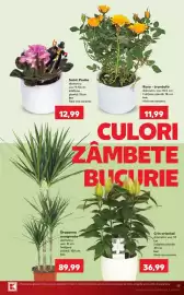 Catalog Kaufland săptămâna 37 Pagină 19