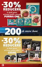 Catalog Kaufland săptămâna 37 Pagină 13