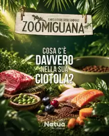 Volantino Zoomiguana Pagina 1