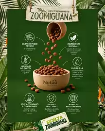 Volantino Zoomiguana Pagina 2