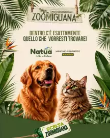 Volantino Zoomiguana Pagina 3