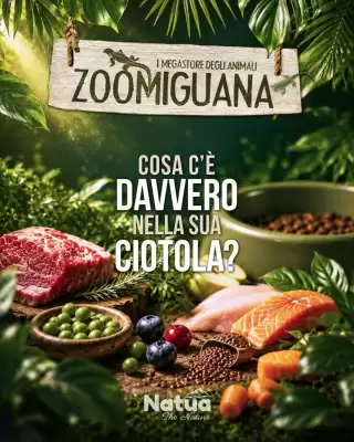 Zoomiguana (valido fino al 20-09)