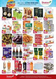 Shaklan leaflet Page 2