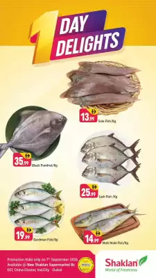 Shaklan (valid until 7-09)
