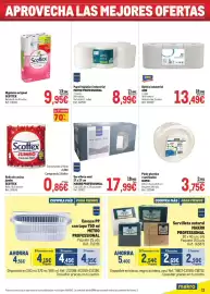 Catálogo Makro Página 11: Nupik plato plastico reutilizable €3,75, Servilleta natural MAKRO PROFESSIONAL €2,54