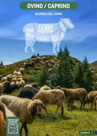 Catálogo Makro Página 41