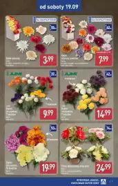 ALDI gazetka Strona 7: JUMI Bukiet chryzantem €14,99, Bukiet chryzantem €19,99
