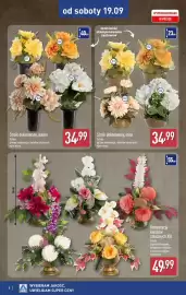 ALDI gazetka Strona 8: Stroik dekorowany, misa €34,99, Sztuka Stroik dekorowany, wazon €34,99