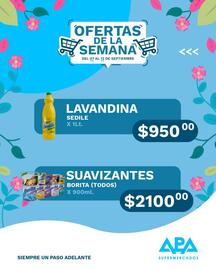Catálogo APA Supermercados semana 37 Página 10