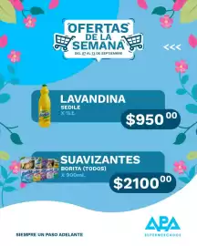 Catálogo APA Supermercados semana 37 Página 10