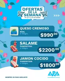 Catálogo APA Supermercados semana 37 Página 2