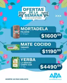 Catálogo APA Supermercados semana 37 Página 3