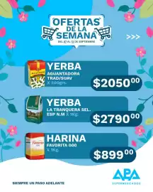 Catálogo APA Supermercados semana 37 Página 4
