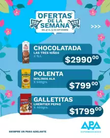 Catálogo APA Supermercados semana 37 Página 5