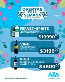 Catálogo APA Supermercados semana 37 Página 6