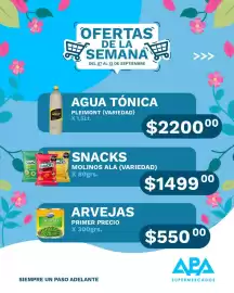 Catálogo APA Supermercados semana 37 Página 7