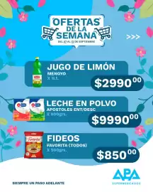 Catálogo APA Supermercados semana 37 Página 8