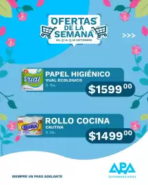 Catálogo APA Supermercados semana 37 Página 9