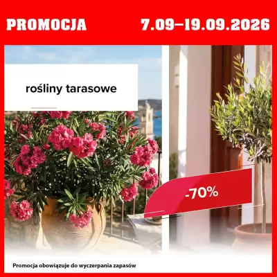 Szarotka gazetka (ważność do 19-09)