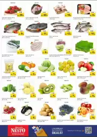 Nesto catalogue Page 2