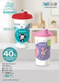 Catálogo Tupperware Página 100