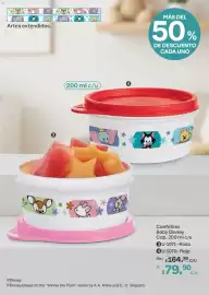 Catálogo Tupperware Página 101
