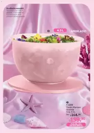Catálogo Tupperware Página 11