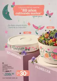 Catálogo Tupperware Página 30