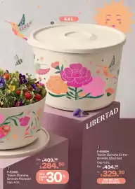 Catálogo Tupperware Página 31