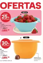 Catálogo Tupperware Página 32