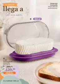Catálogo Tupperware Página 42