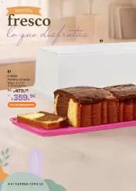 Catálogo Tupperware Página 44