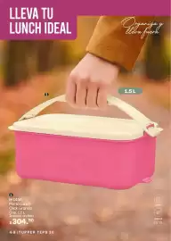 Catálogo Tupperware Página 68