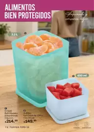Catálogo Tupperware Página 76