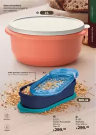 Catálogo Tupperware Página 97