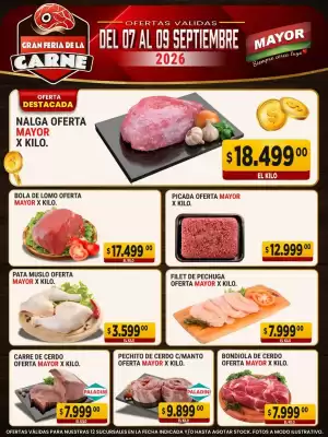 Catálogo Supermercados Mayor (válido hasta 9-09)