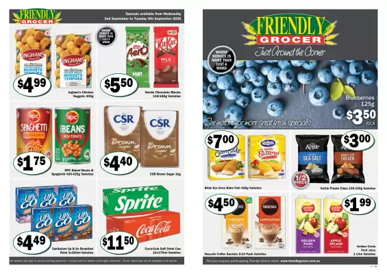 Friendly Grocer (valid until 8-09)
