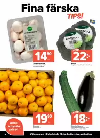 Coop Extra reklamblad vecka 38 Sida 4: Broccoli €22,00, Satsumas €19,90