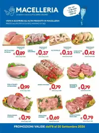 Volantino MD Discount Pagina 13