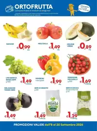 Volantino MD Discount Pagina 8