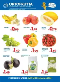 Volantino MD Discount Pagina 8
